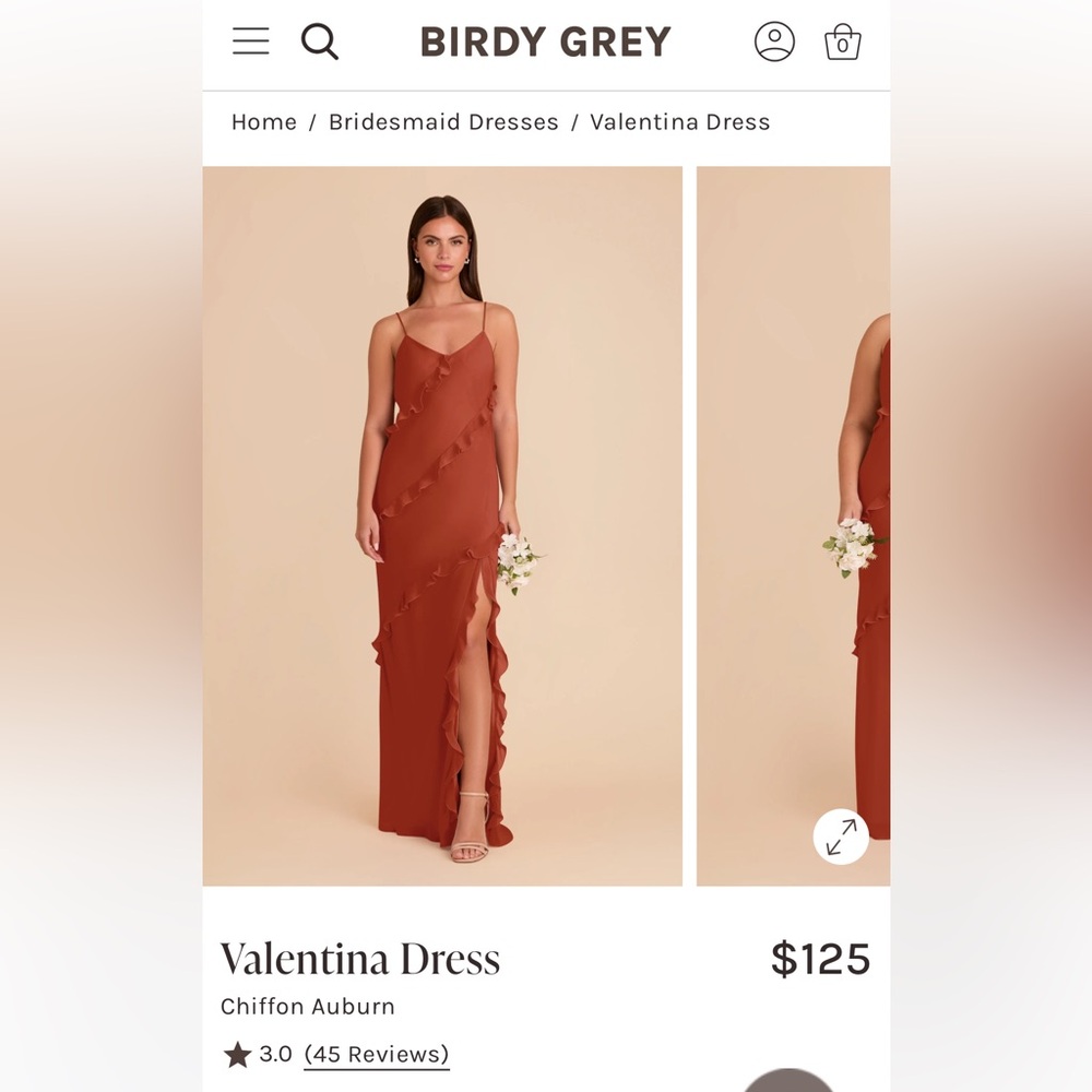 Birdy Grey Valentina Dress Chiffon Auburn Size Medium